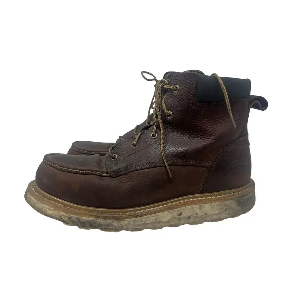 Irish Setter Ashby 6